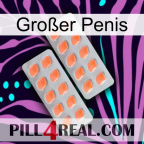 Großer Penis 27